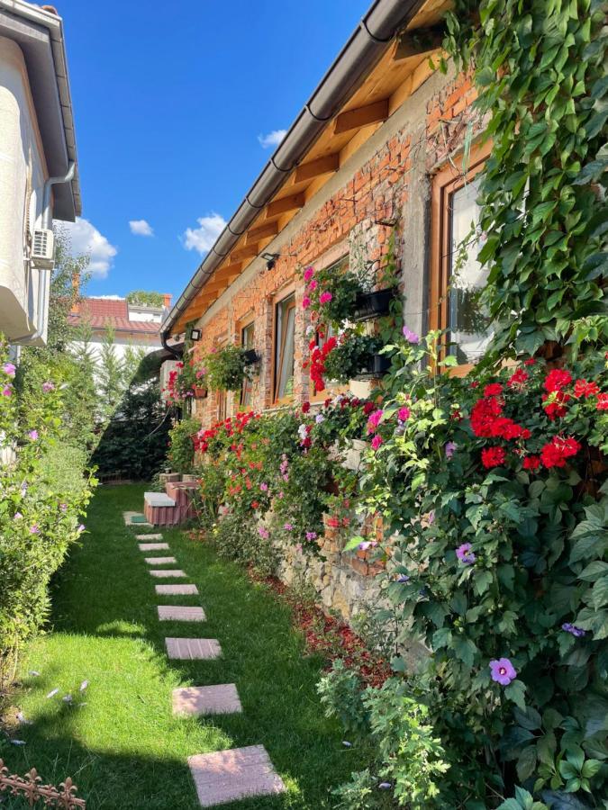 Flower House In The City Center! プリシュティナ エクステリア 写真
